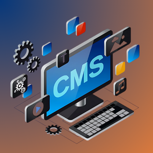 CMS Web Development Services In Delhi