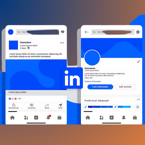 LinkedIn Management Services In Delhi