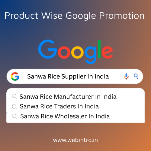 Product Wise Google Promotion In India